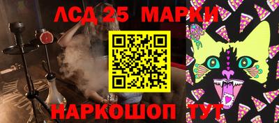 гашик Кимры