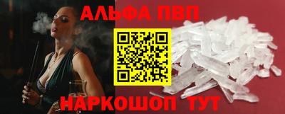 дмт Кингисепп