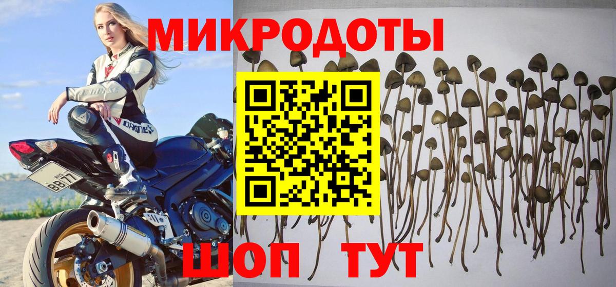 Галлюциногенные грибы прущие грибы Клин