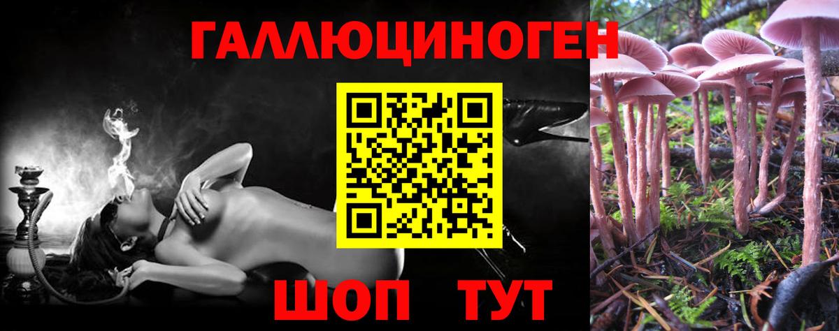 Клин  Псилоцибиновые грибы мухоморы  Вход с VPN 